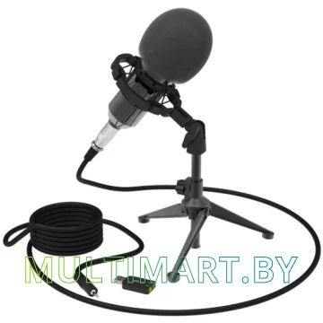 Микрофон Ritmix RDM-160